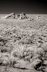 Rock Outcropping
